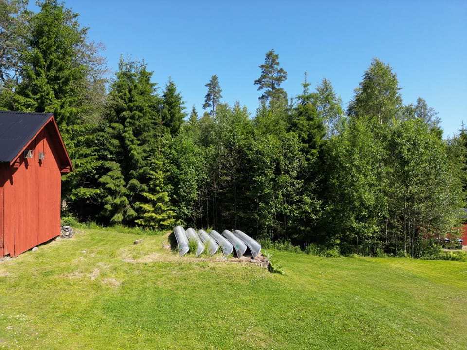 Spring, Day, Natural landscape, Garden, View (from property/room), Garden view