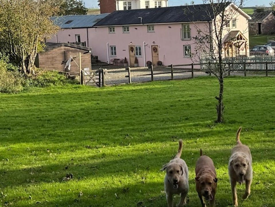 Ty Llaeth 2-Bed Cottage Sleeps 4 Pet Friendly House in Llansteffan
