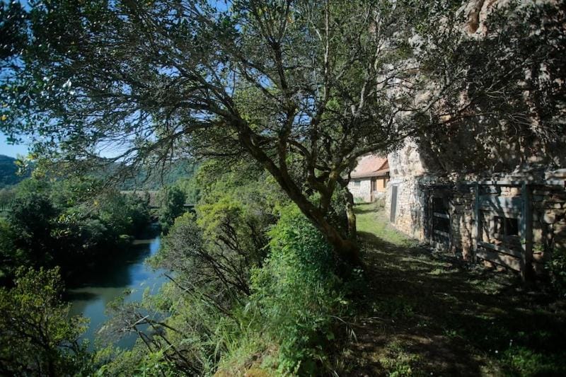 Natural landscape, River view