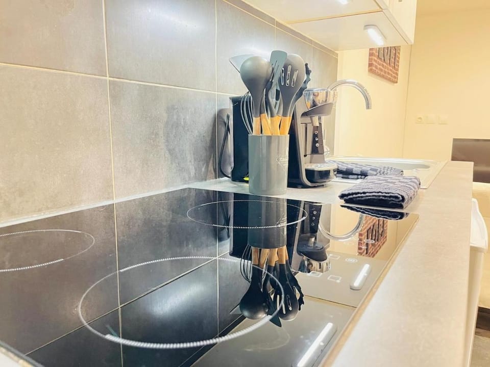 Somptueux et Relaxant Logement, près de CDG, Asterix Apartment in Île-de-France