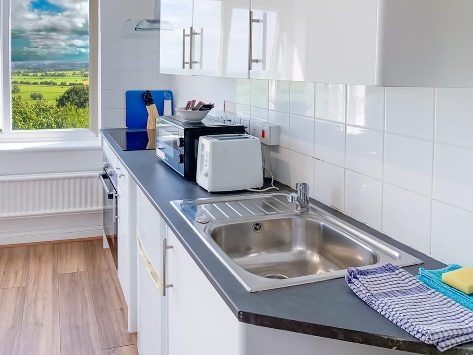 Kitchen or kitchenette, minibar, oven, stove, toaster