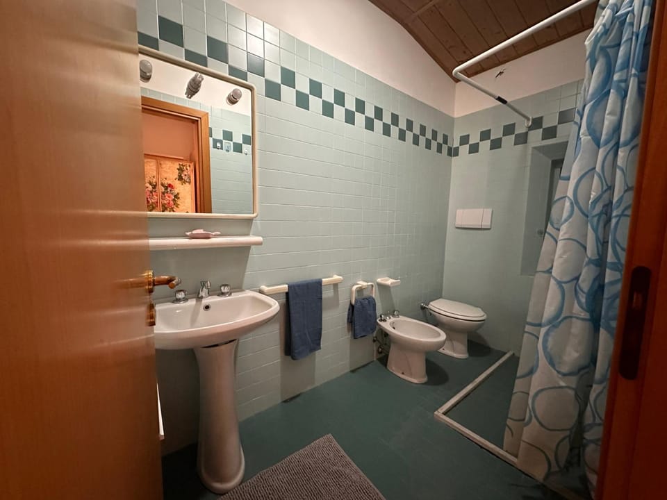 Shower, Toilet, Bathroom, bidet