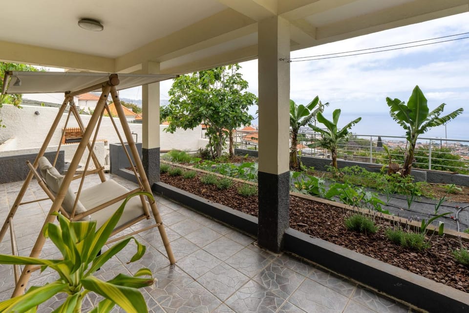 Day, Garden, Balcony/Terrace