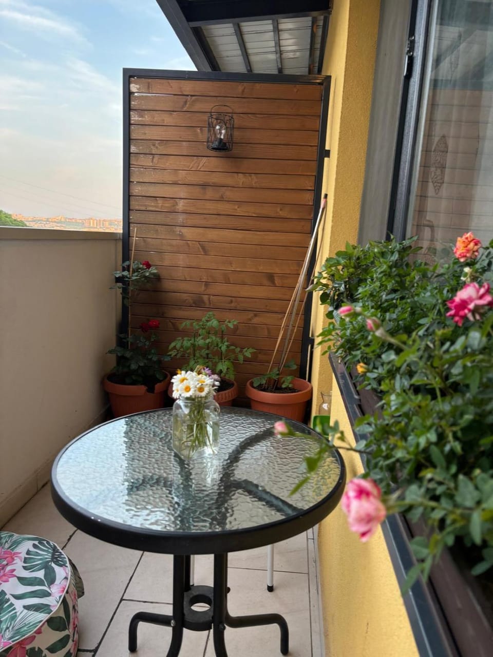 Cozy Gem Cluj meets Nature Apartment in Cluj-Napoca
