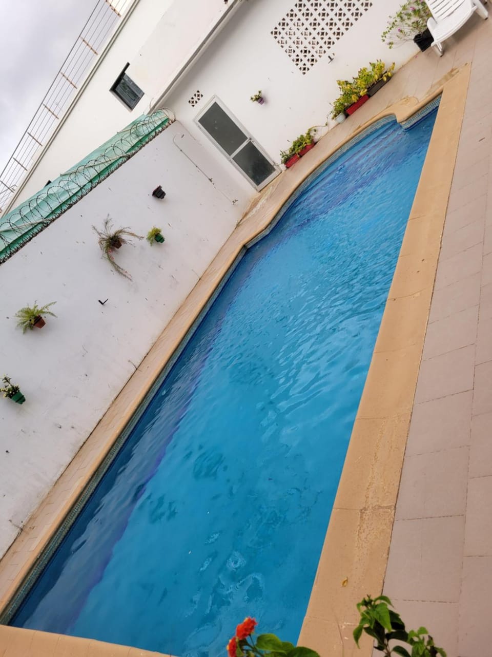 Pool view, Swimming pool