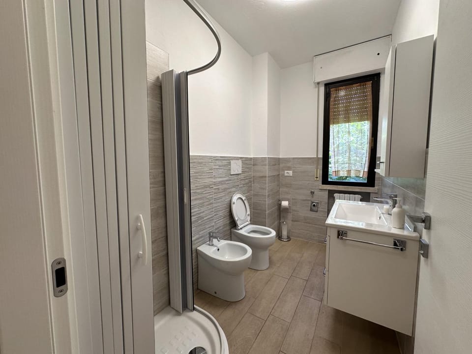 Shower, Toilet, Bathroom, bidet