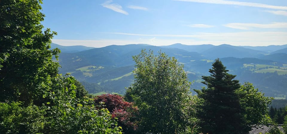 Garden, Mountain view