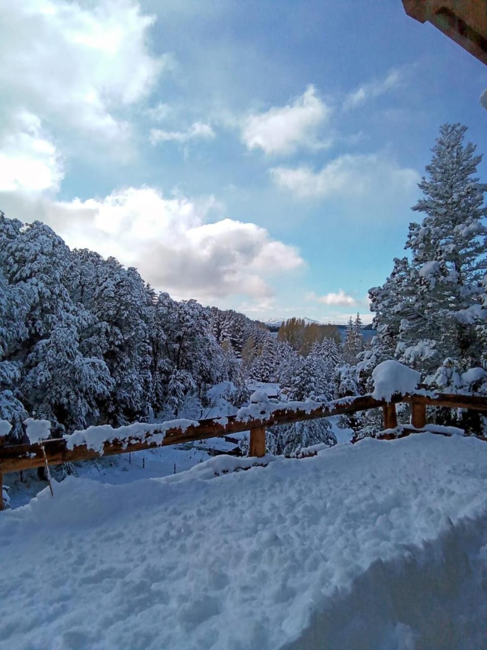 Susan Lodge Forest House in San Carlos Bariloche