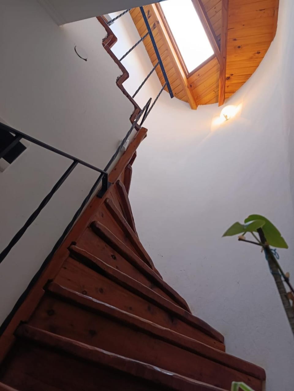 Susan Lodge Forest House in San Carlos Bariloche