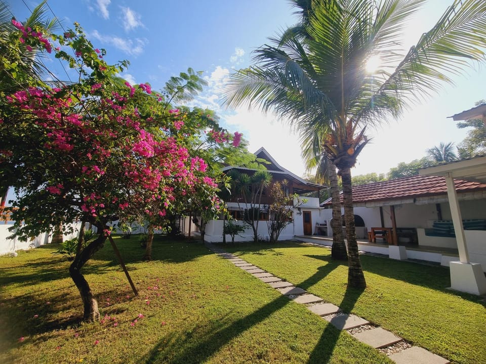 Property building, Garden, Garden, Garden view