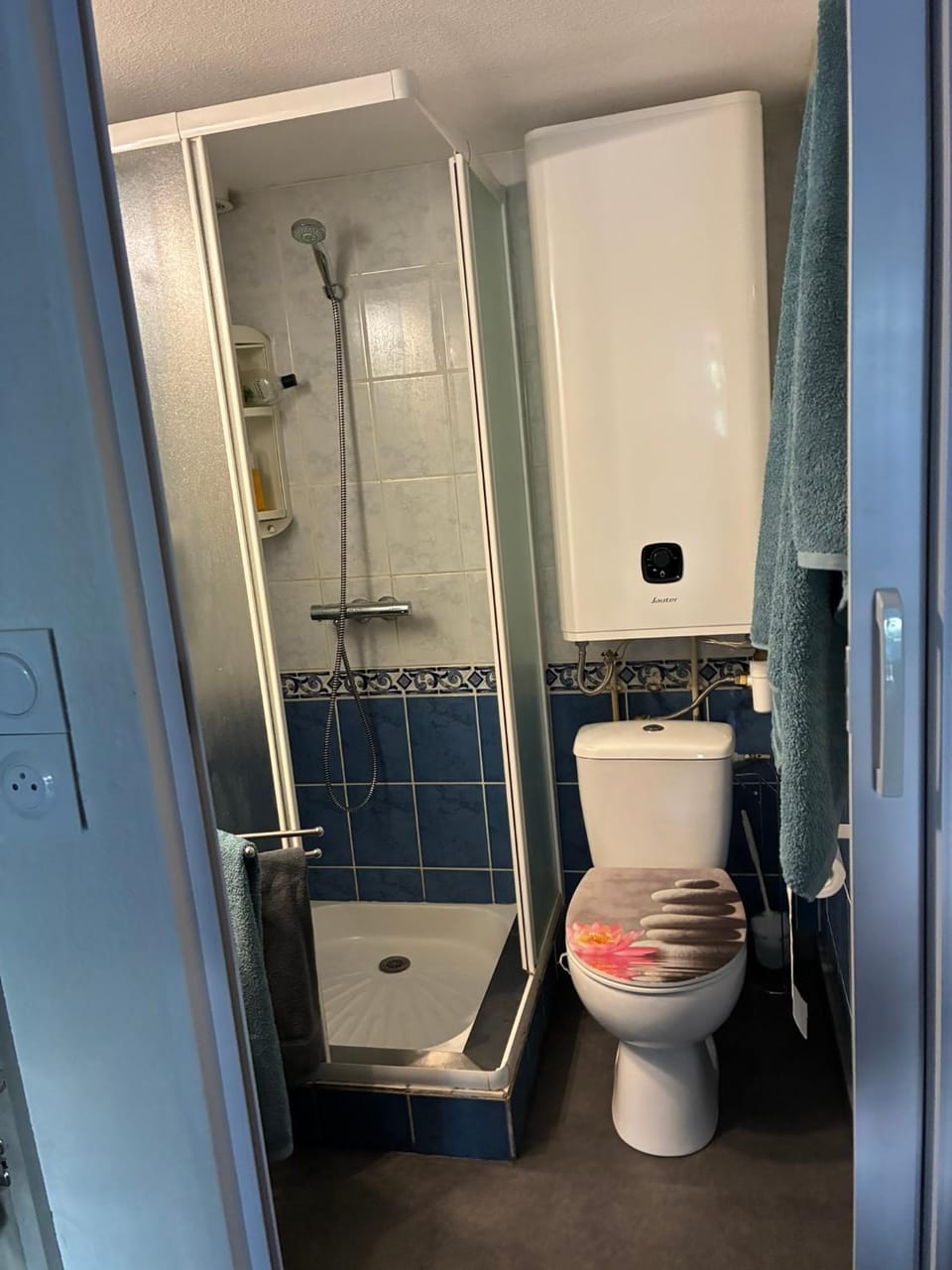 Bathroom, Living room