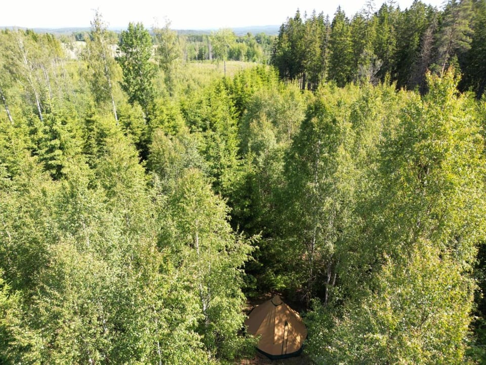 Natur pur im Tipi -Dein Rückzugsort in Schwedens Wildnis Luxury tent in Sweden