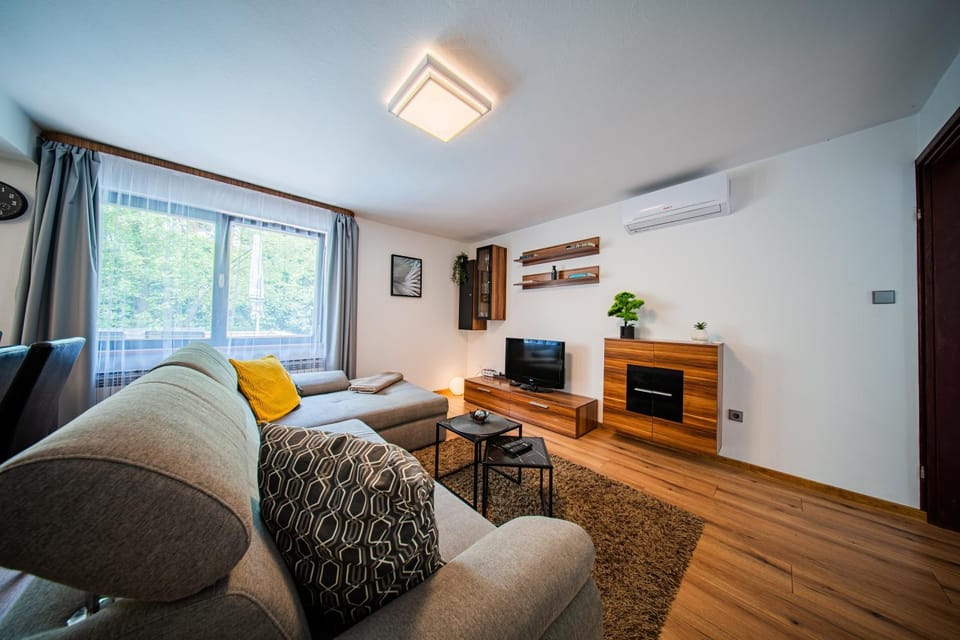 TV and multimedia, View (from property/room), Living room, Seating area, Family, heating, internet, air conditioner