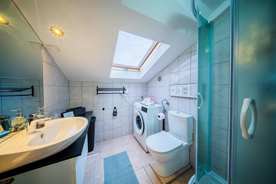 Shower, Toilet, Bathroom, heating, towels, washing machine