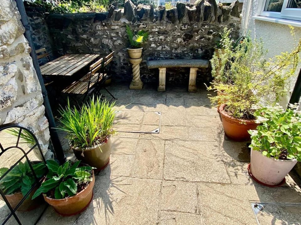 Patio, Garden, Garden view