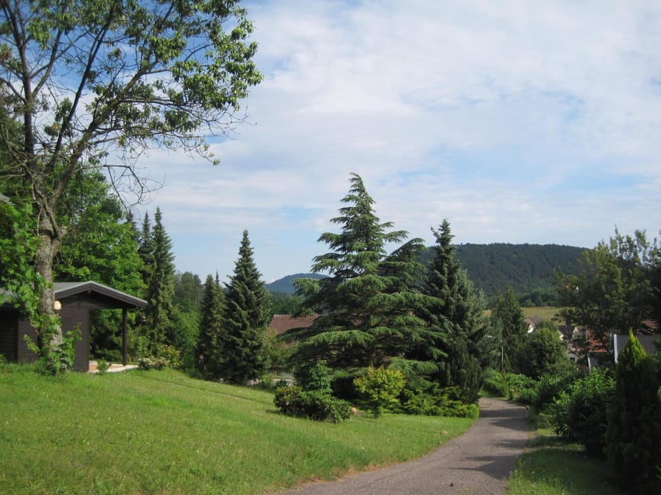 Ferienhof auf dem Berg House in Rhineland-Palatinate
