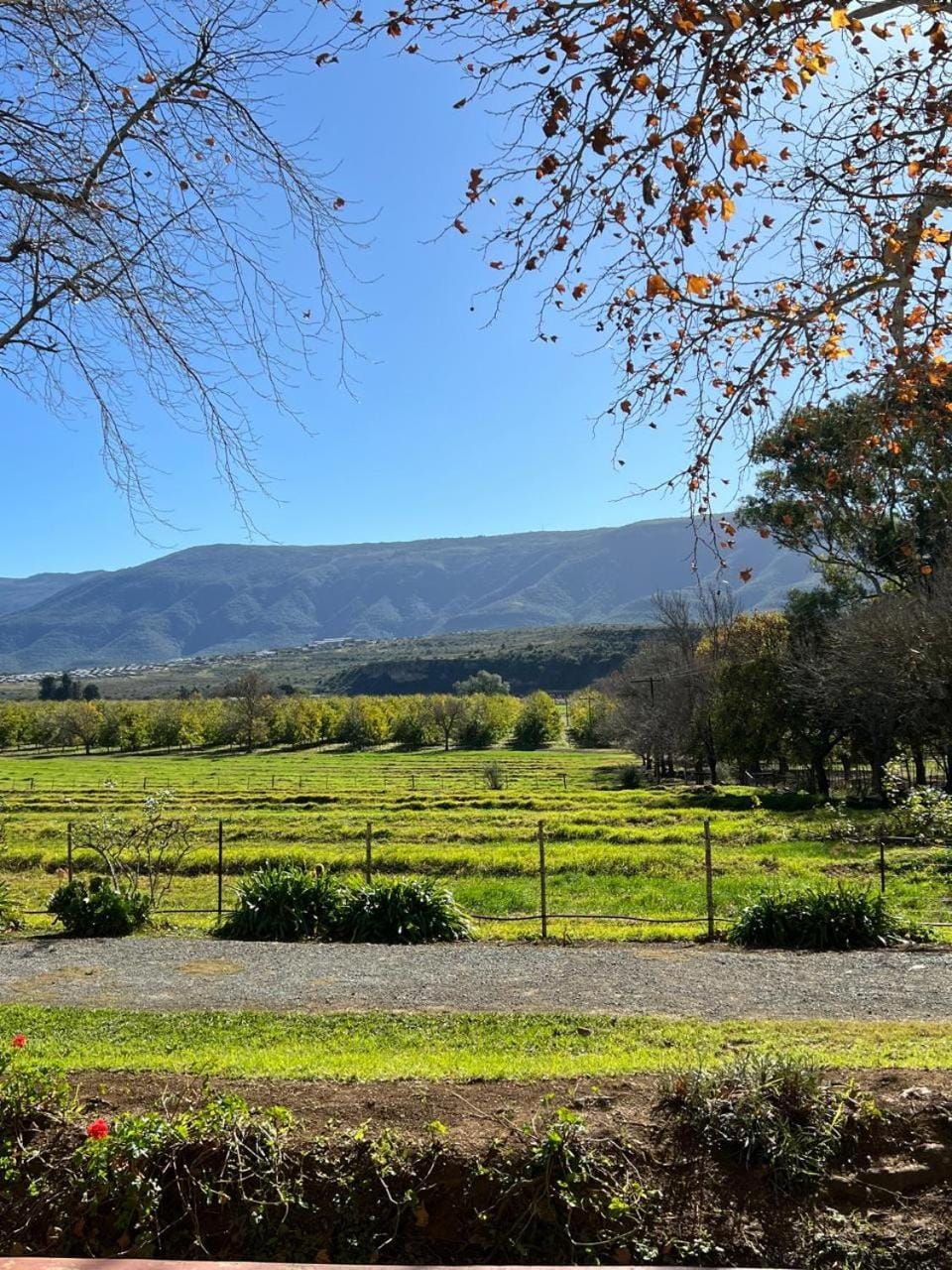 Mountain view