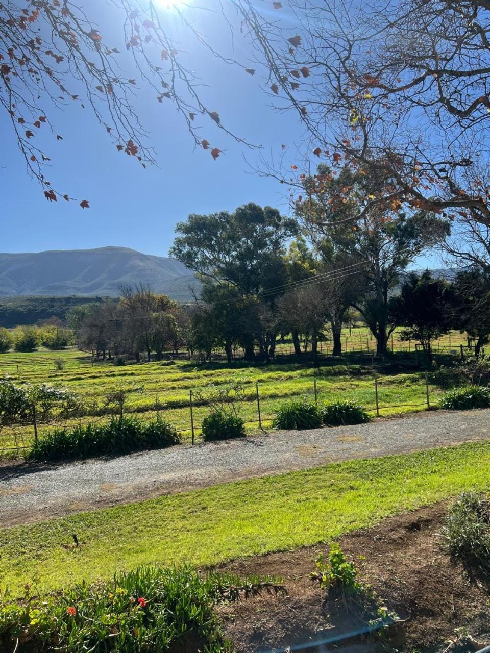 Garden, Mountain view