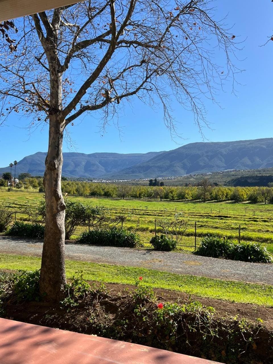 Natural landscape, Garden, Mountain view