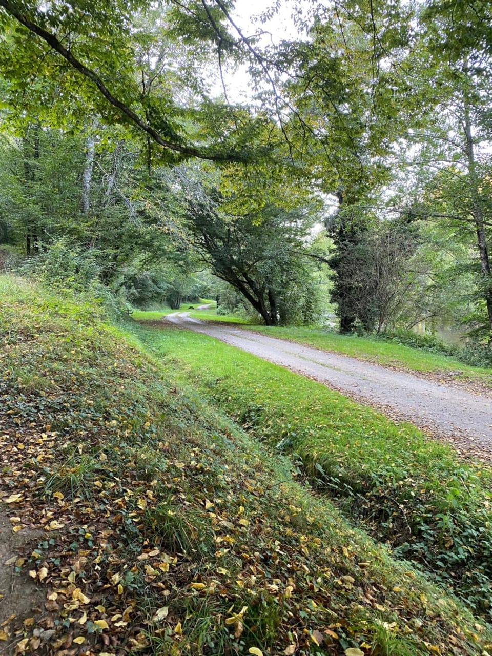 Natural landscape