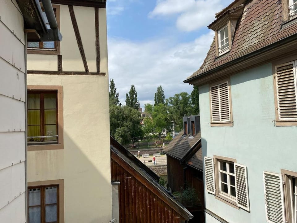 Appartement chaleureux à la Petite France Apartment in Strasbourg