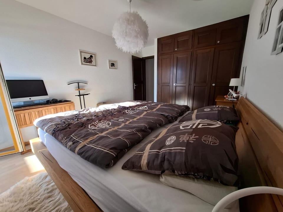 Montana Etoilée Apartment in Sierre