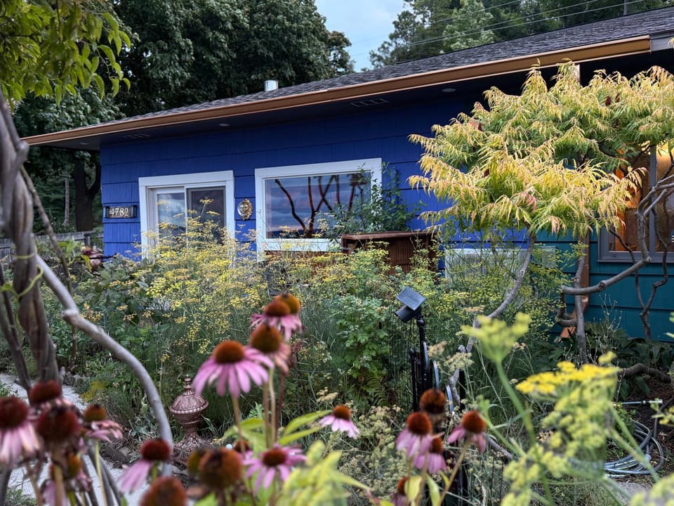 Blū House Apartment in Michigan