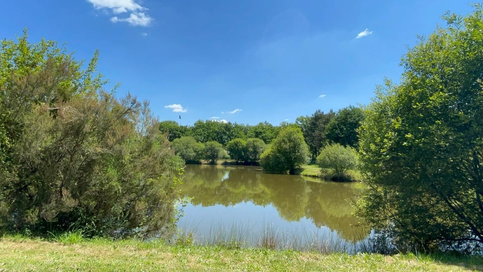 Natural landscape, Fishing, Fishing