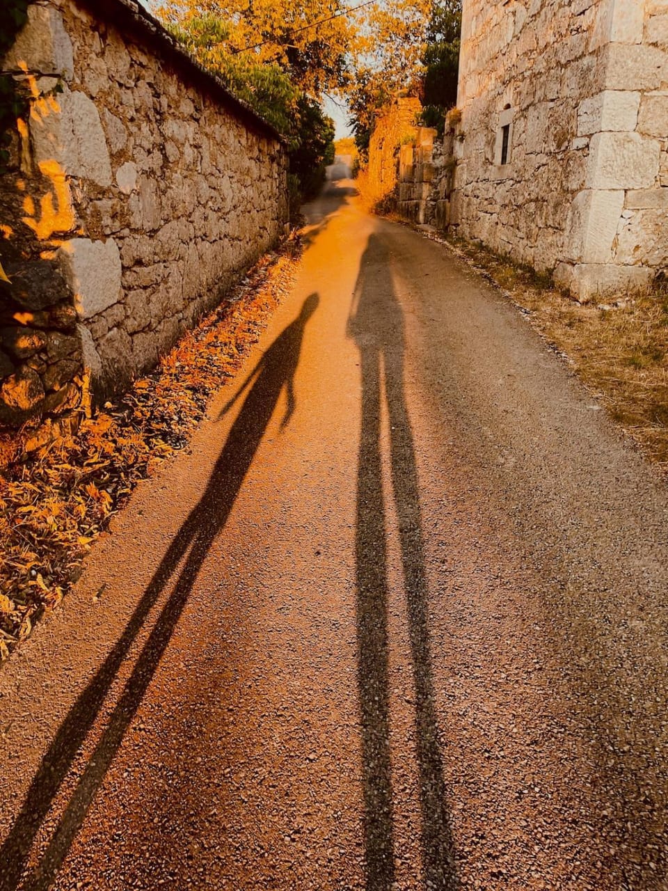 Villa Toni by BOTANICA Traditional stone house House in Šibenik-Knin County, Croatia
