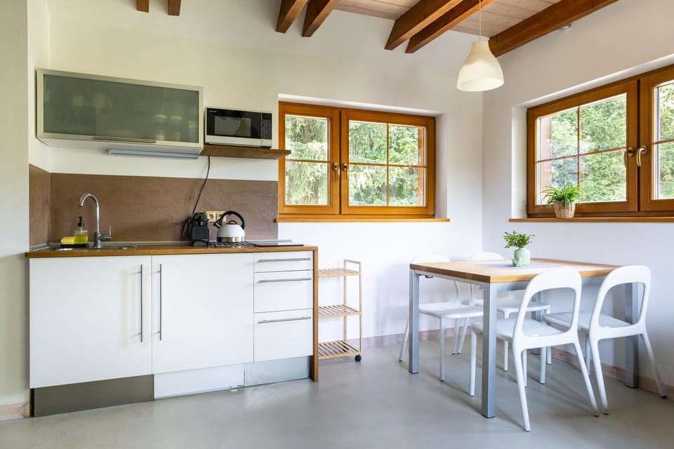 Kitchen or kitchenette, Dining area, oven, stove