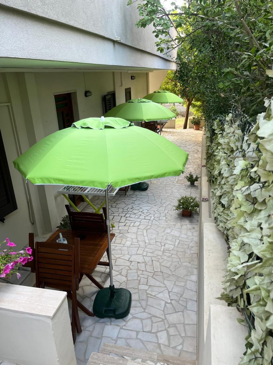 Garden view