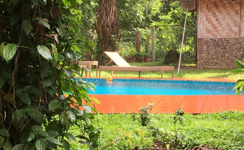 Pool view, Swimming pool, Swimming pool, sunbed