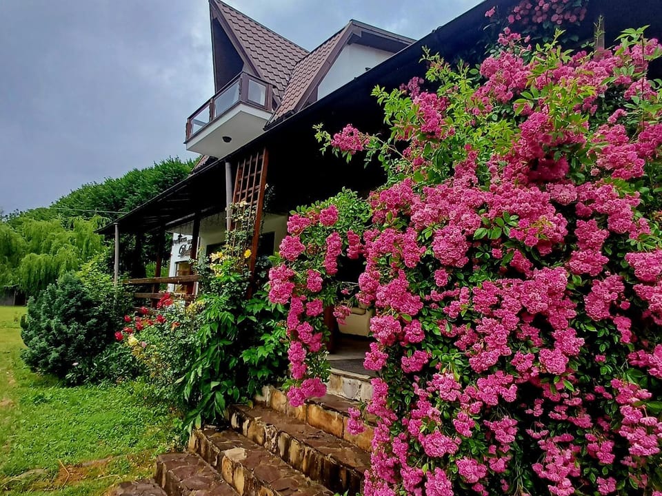 Belvedere GreșuLepșa Bed and Breakfast in Romania