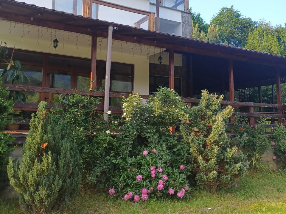 Belvedere GreșuLepșa Bed and Breakfast in Romania
