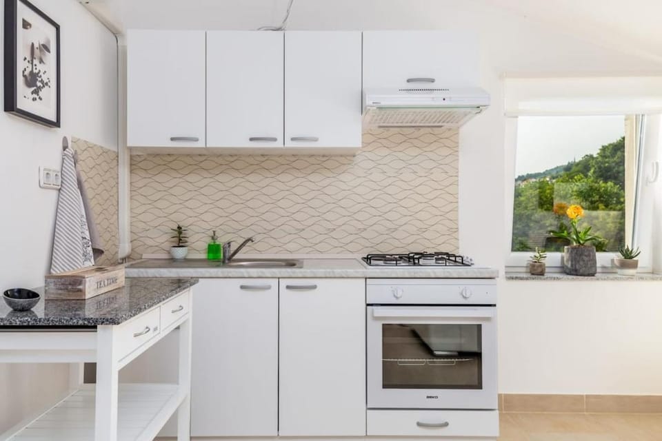 Kitchen or kitchenette, oven, stove