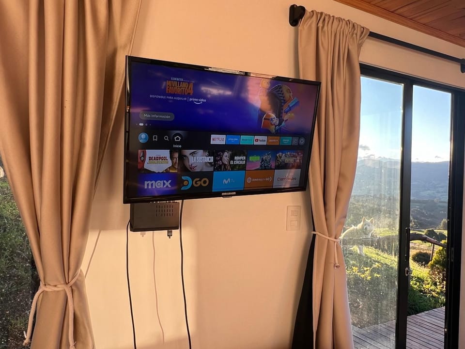 TV and multimedia