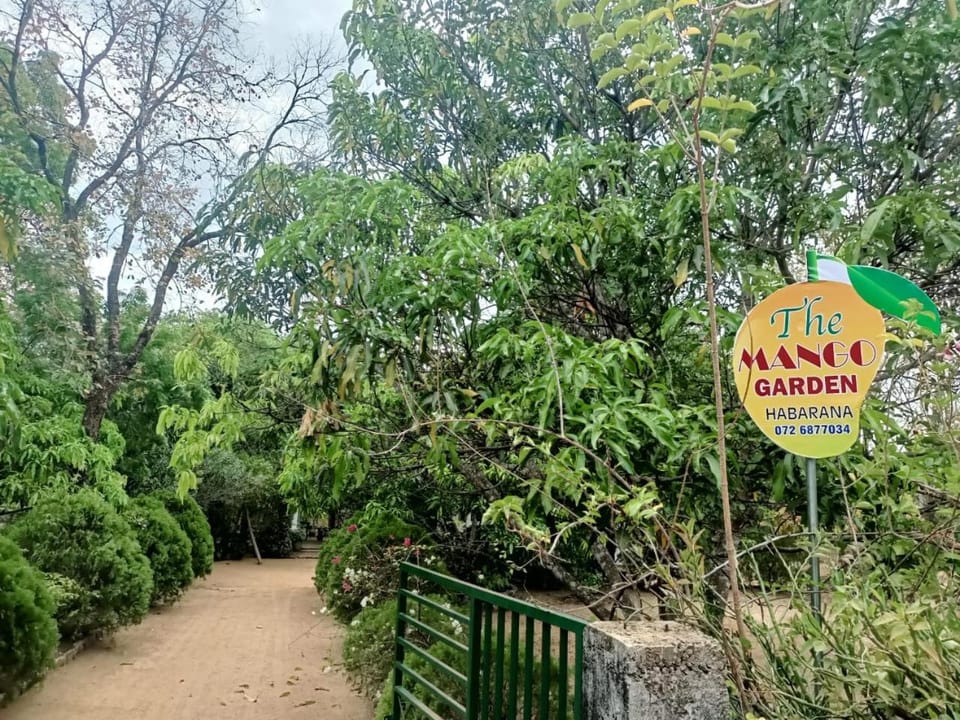 Natural landscape, Garden view
