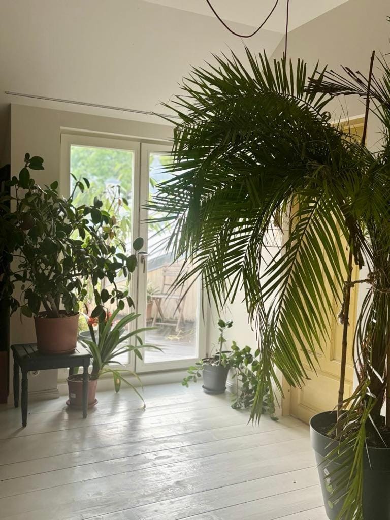 Koidula Nest Apartment in Tallinn