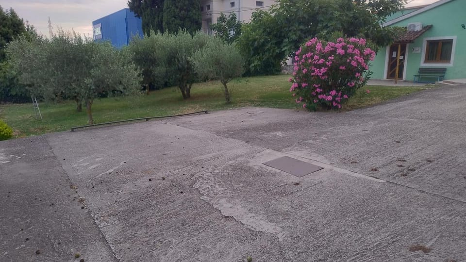 Property building, Spring, Day, Neighbourhood, Garden, Garden view, Street view, Parking