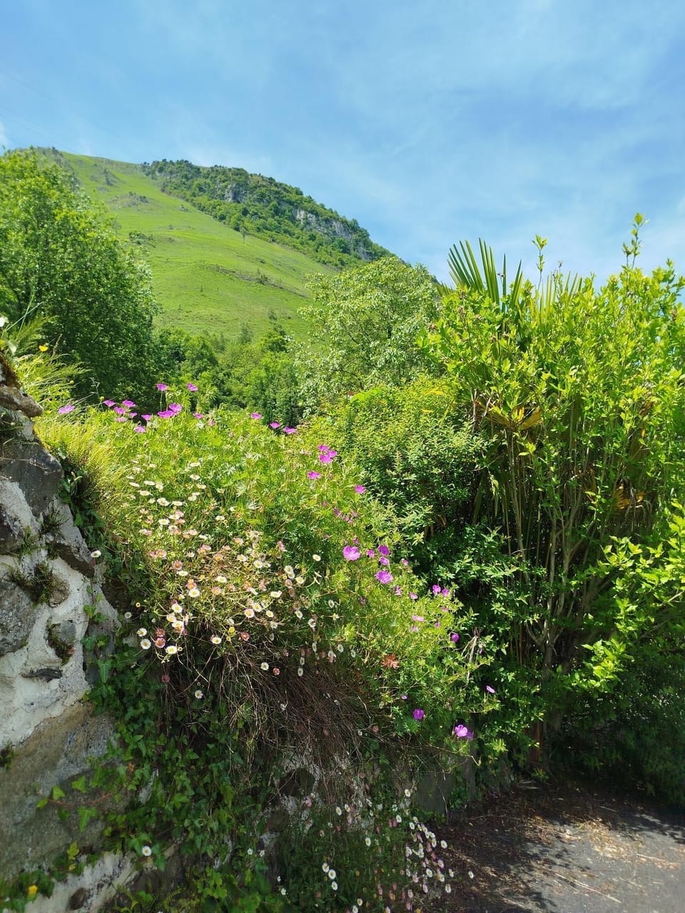 Mountain view