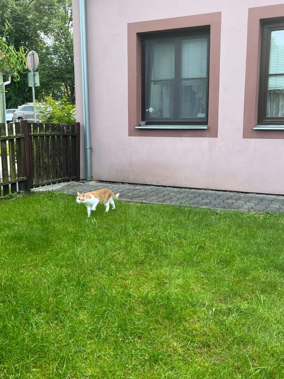 Garden, Pets