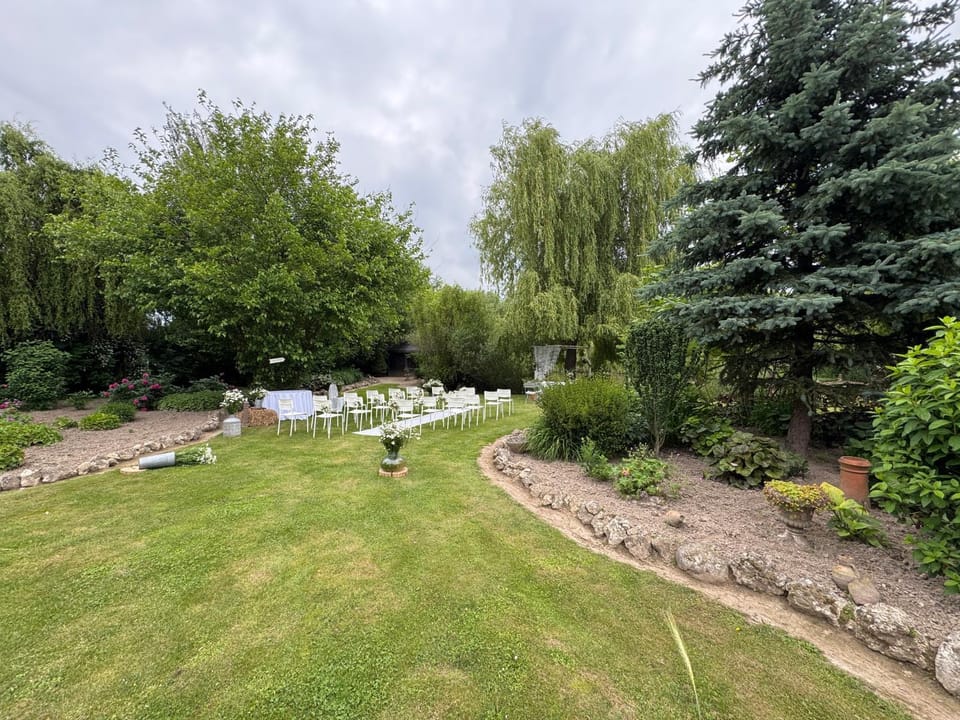 Spring, Day, Natural landscape, Garden, Garden view