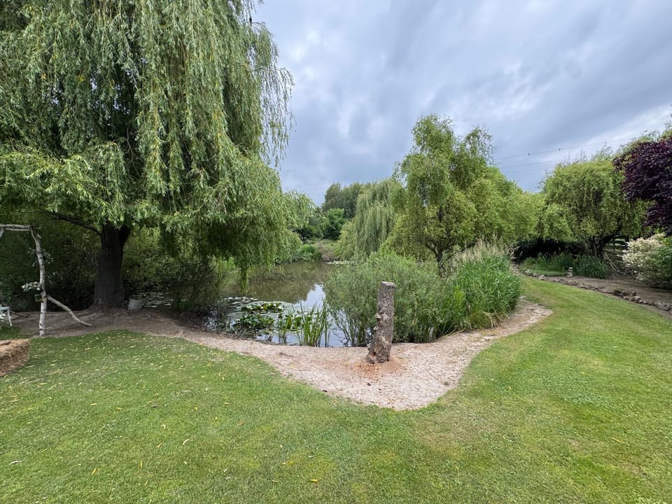 Spring, Day, Natural landscape, Garden, Garden view, Lake view