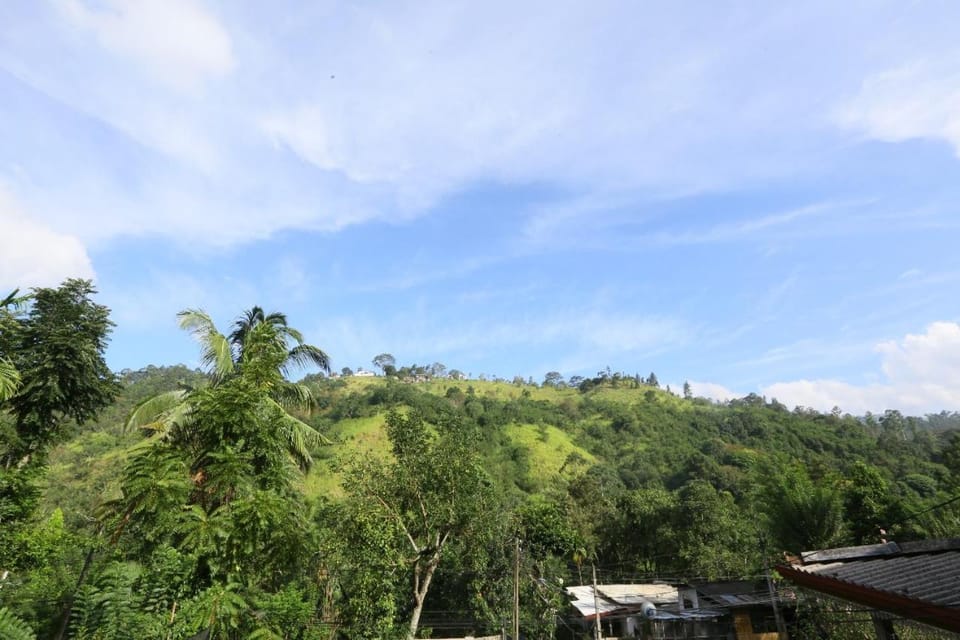 Mountain view