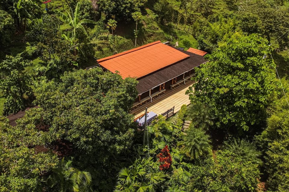 Property building, Natural landscape, Bird's eye view