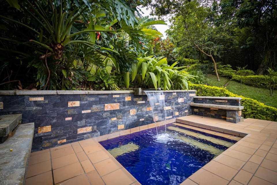 Garden view, Mountain view, Pool view, Area and facilities, Swimming pool