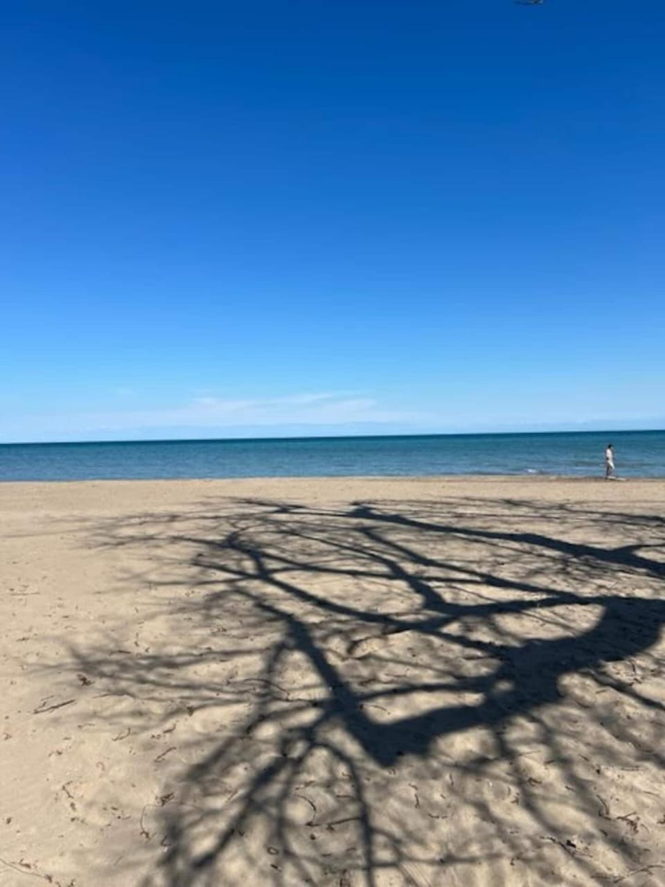 Cozy Woodland Bunkie Outdoor Shower WiFi House in Lake Erie