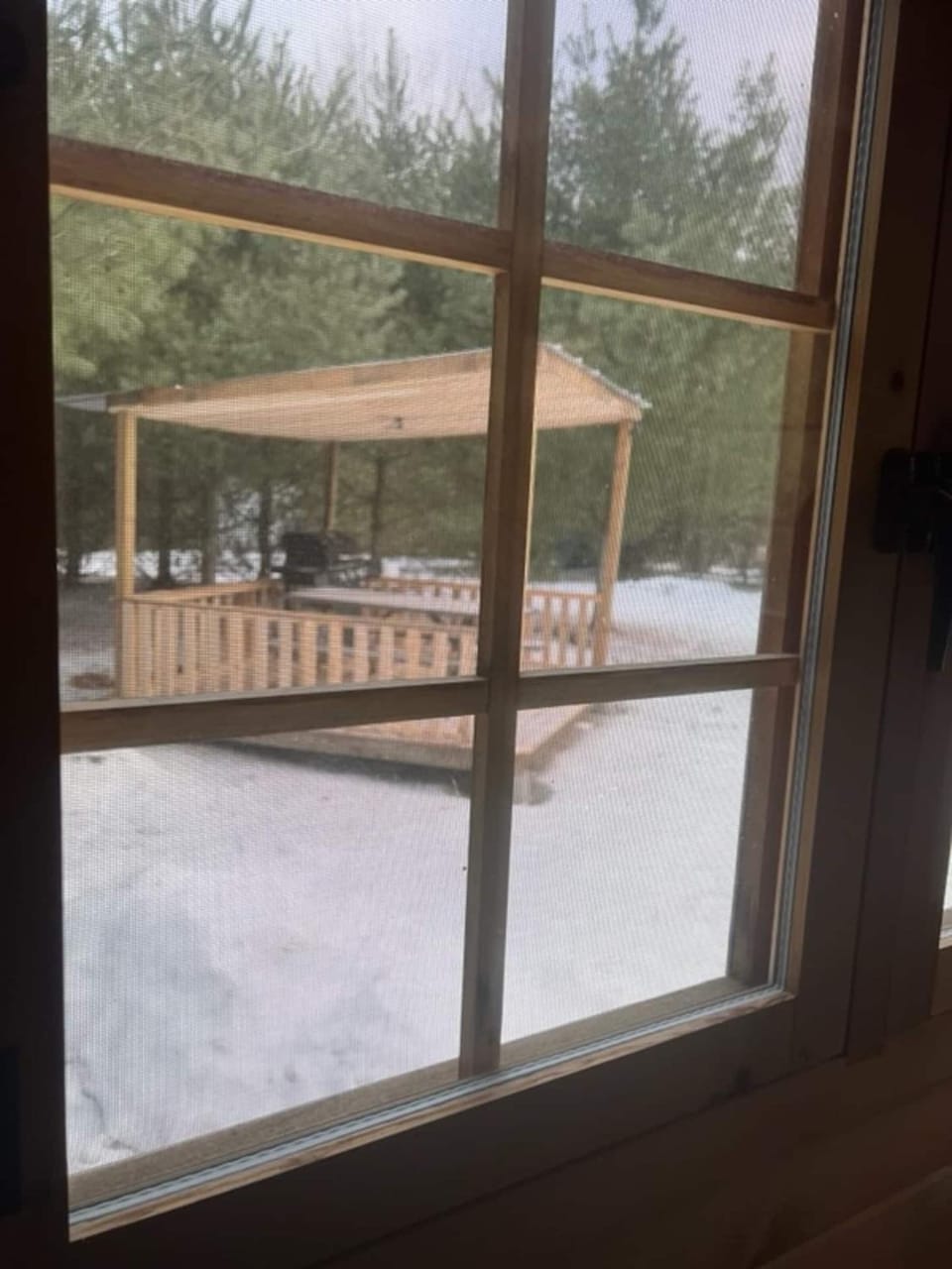 Cozy Woodland Bunkie Outdoor Shower WiFi House in Lake Erie