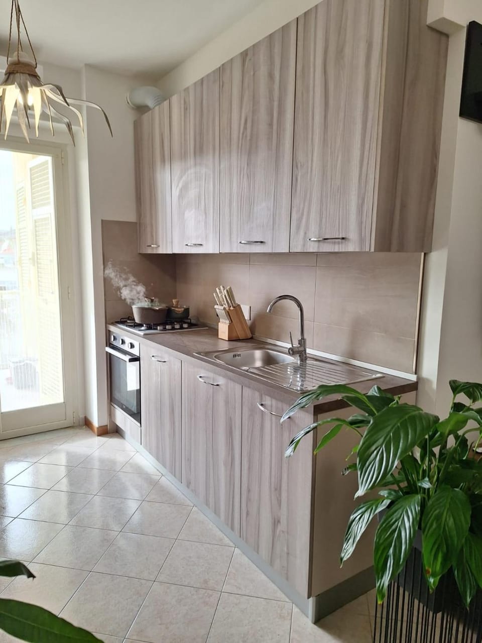 Kitchen or kitchenette, Facility for disabled guests, dishwasher, oven, pet friendly, stove, acessibility