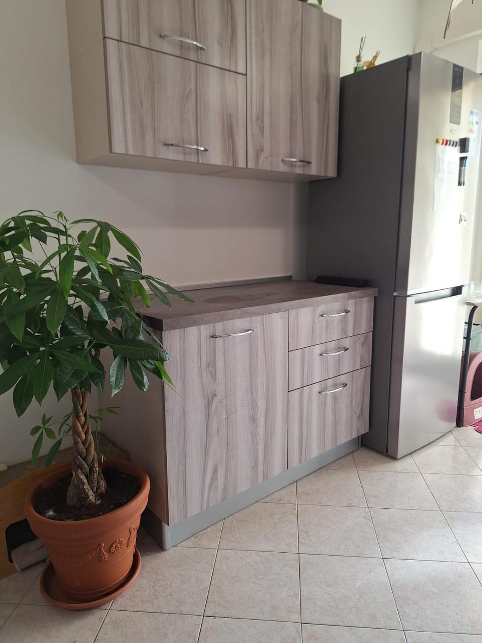 Kitchen or kitchenette, Facility for disabled guests, pet friendly, acessibility